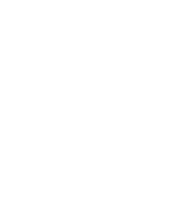 Insta Logo